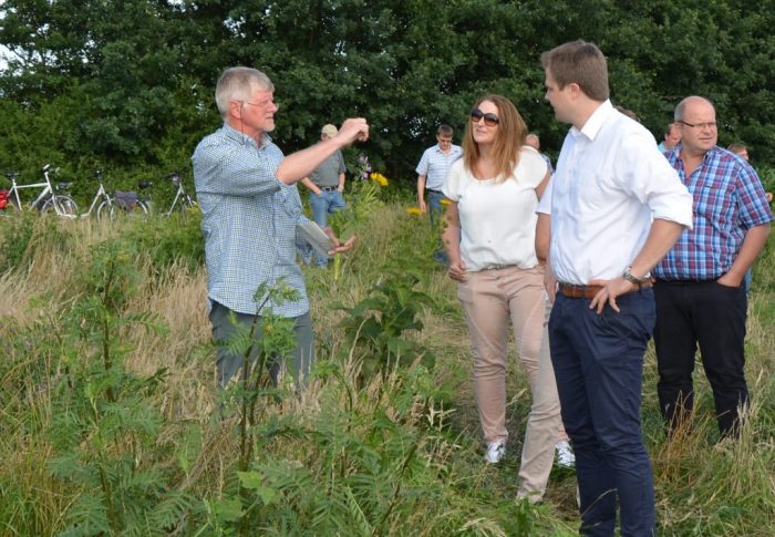 Landwirte wollen Förderung für Wildpflanzen-Anbau im Emsland